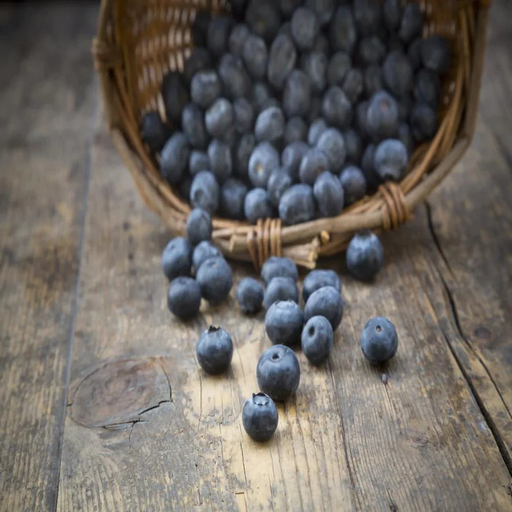 basket overflowing with blueberries onto wooden floor