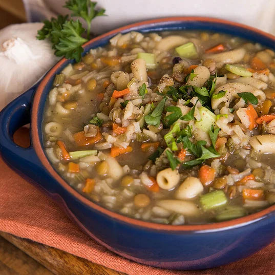 traveler's stew in blue and orange bowl with green garnish