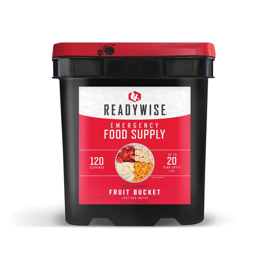 readywise emergency food supply 120 serving  freeze dried fruit bucket