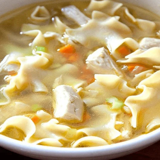 chicken flavored noodle soup up close image featuring chicken noodles carrots and celery in broth